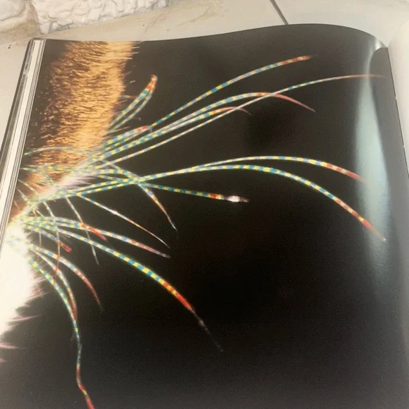 Colorful Vintage Cat Art Print Book Home Decor “Why Paint Cats” - Picture 10 of 15